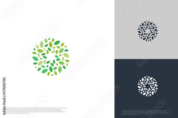Fototapeta circle design elements abstract leaf for natural product company logo vector template