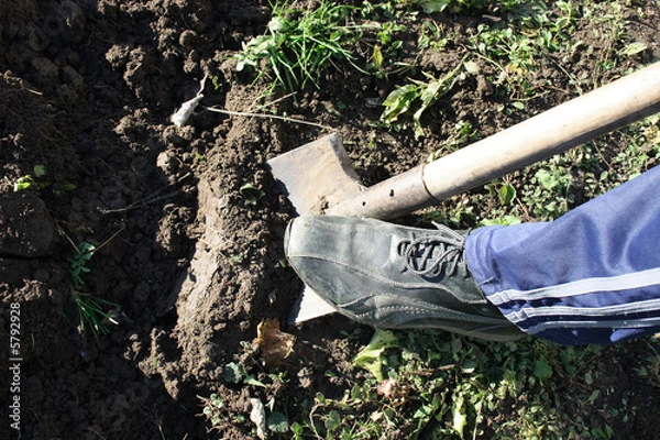 Fototapeta  man with a spade