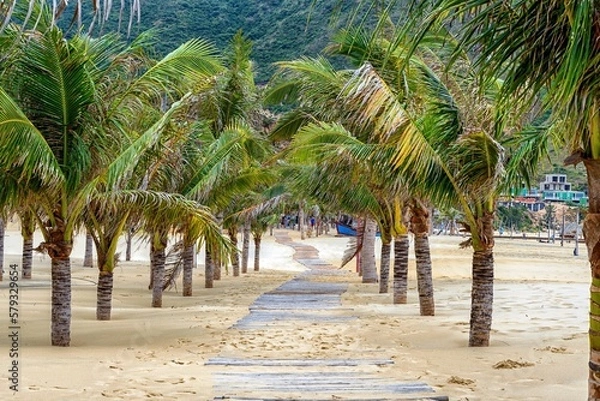 Obraz palm trees on the beach