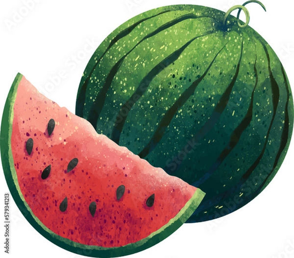 Fototapeta Drawing of a watermelon, a whole watermelon and a slice of red juicy watercolor