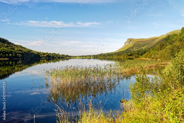 Fototapeta Glencar Lough lies southeast of Benbulbin mountain, County Sligo, Ireland. Looking west through reeds on the north shore. Late summer. Yeats Country