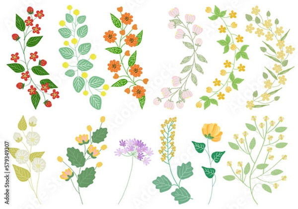 Obraz 花のイラスト素材 あしらい 装飾 セット