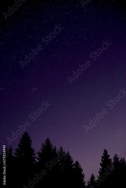 Obraz starry night sky