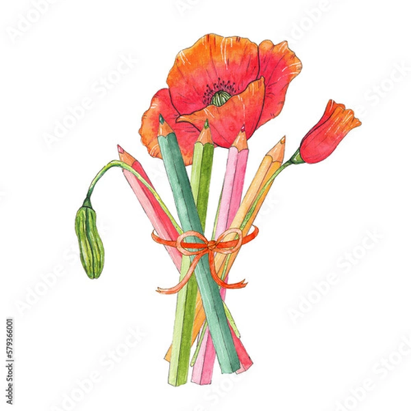 Obraz A bouquet of poppies and coloured pencils. ready-made print for a postcard . design for clothes, 