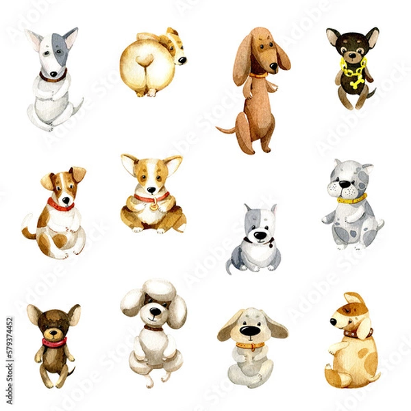 Fototapeta Set of cute cartoon dogs Watercolor animal illustration, isolated on a white background.