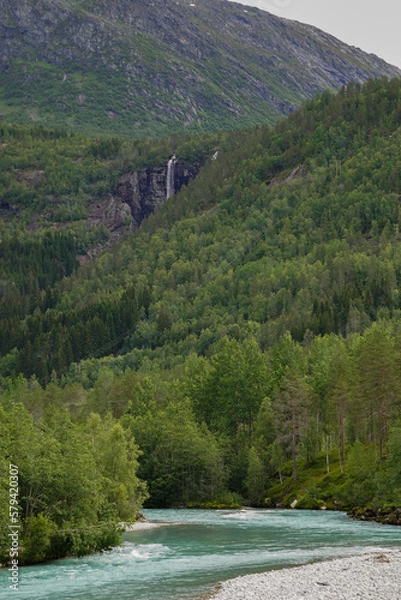Obraz Green River going through mountains and green forest