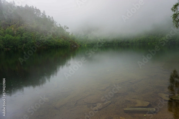 Obraz Clear water lake covered by fog and surrounded by green, healthy forest