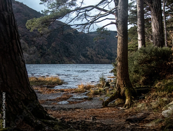 Obraz Lake in mountains with big trees and rocky shore