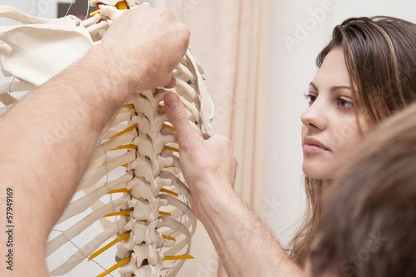Fototapeta Chiropractor explains to Patient using plastic model