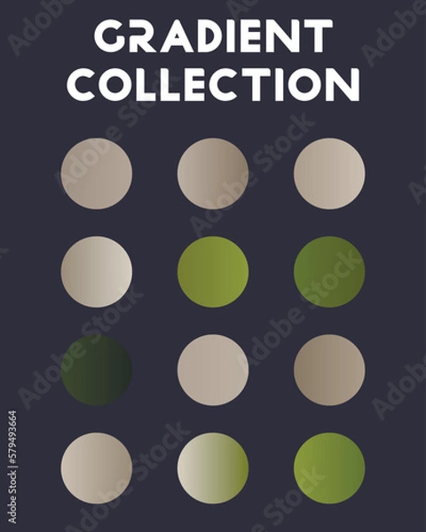 Obraz Set of color combinations and gradients. Vector illustration