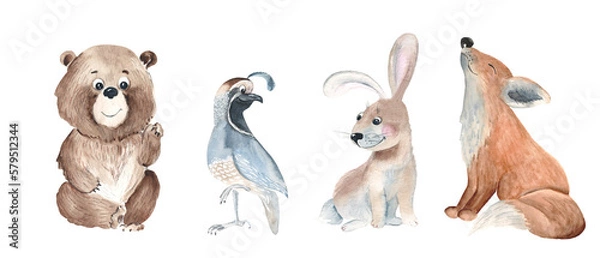 Obraz Set of cute woodland animals. Bear, quail, bunny and fox isolated on white background. Watercolor hand drawn illustration.