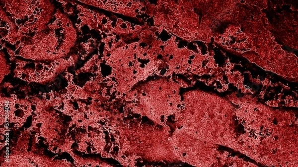 Fototapeta red carpet texture