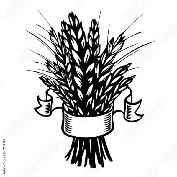 Fototapeta Rye, wheat