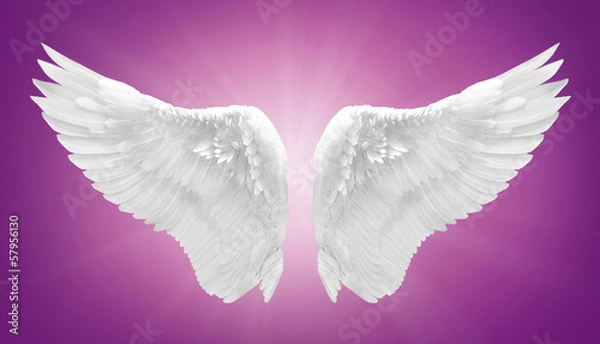 Obraz białe skrzydło na białym tle