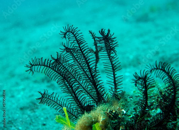 Obraz OLYMPUS DIGITAL CAMERA