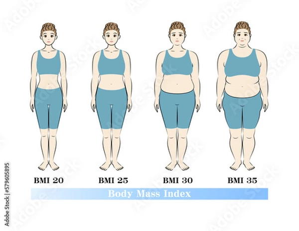 Fototapeta 若い女性のBMI指数による体型の変化 ボディマスインデックス イラスト ベクター