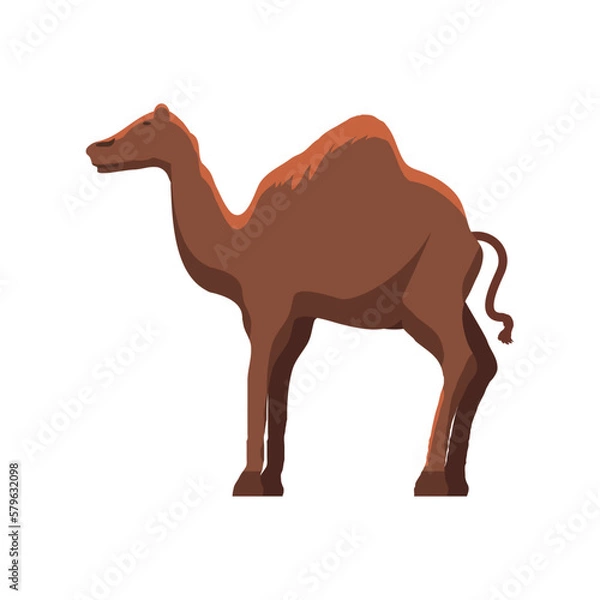 Fototapeta camel icon in brown color Ramadan and Islamic Eid