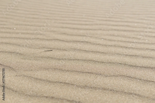 Fototapeta 砂紋