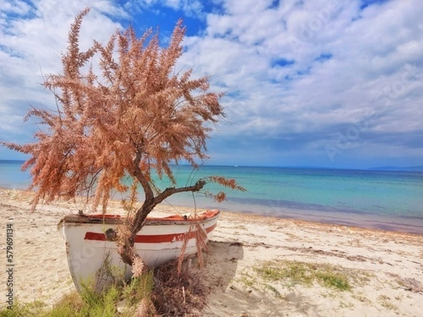 Fototapeta Boat at the beach 2