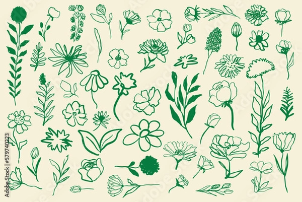 Obraz Hand drawn ink various flowers set, vector simple minimalistic line illustration.