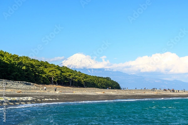 Fototapeta 三保の松原