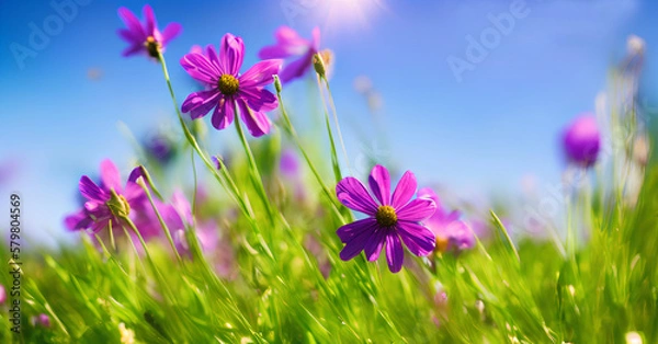 Obraz Beautiful violet flowers, spring time, field with green grass and sunny blue sky. Created with Generative AI