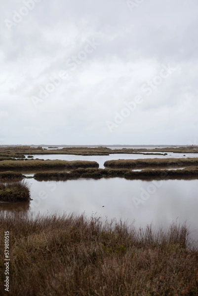 Obraz Salinas de Aveiro com céu nublado