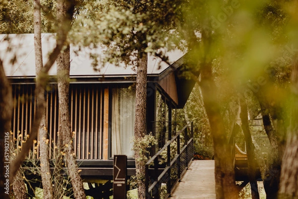 Obraz Cabane perchée dans la forêt