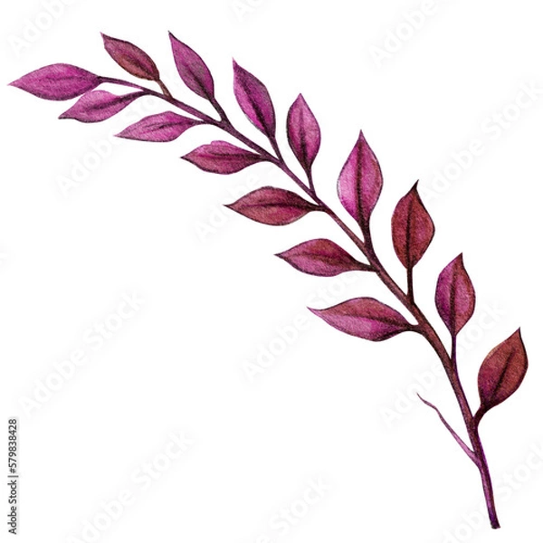 Fototapeta watercolor hand drawn decorative greenery element