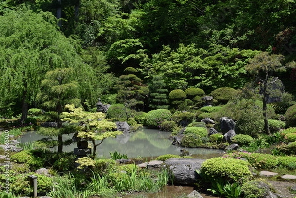 Fototapeta 日本庭園