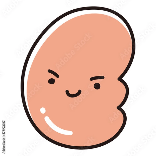 Fototapeta 健康な腎臓のイラスト（キャラクター）