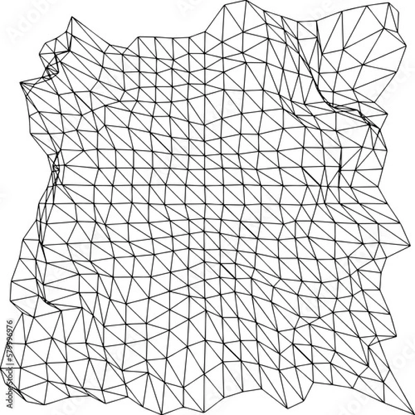 Obraz Mesh wireframe vector