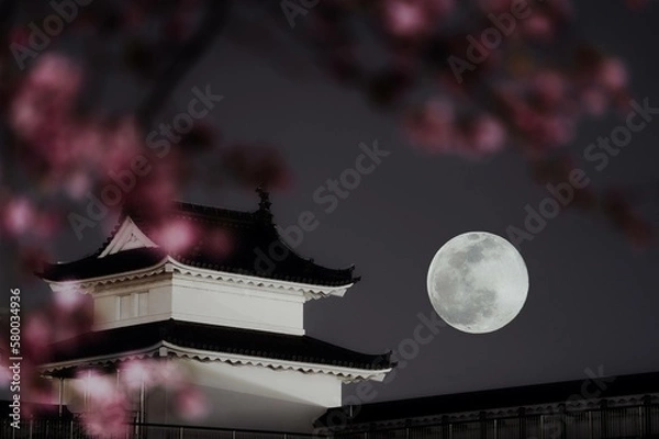 Fototapeta 城に満月の夜桜