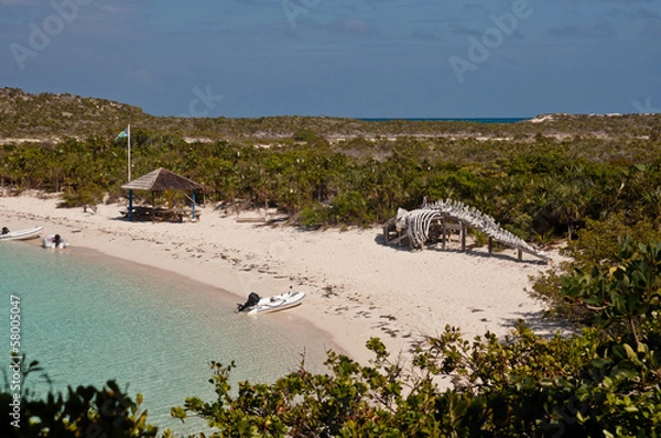 Obraz Warderick Wells Bahamy