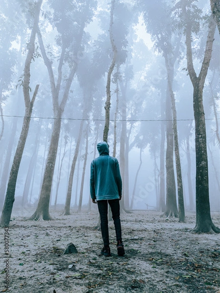 Obraz walking in the forest