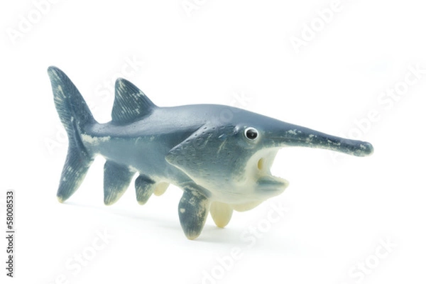 Obraz rubber toy fish