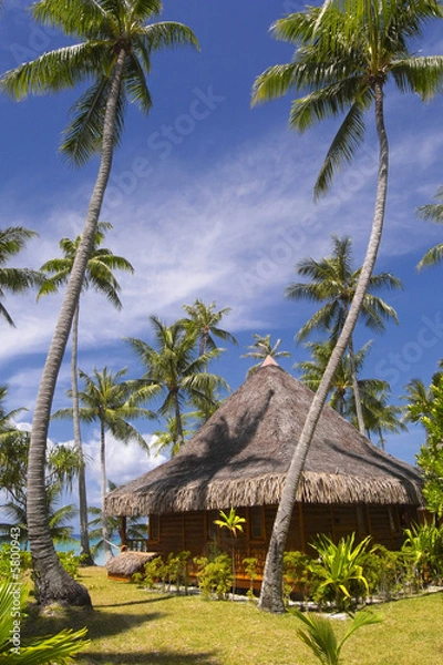 Obraz Bungalow à Rangiroa