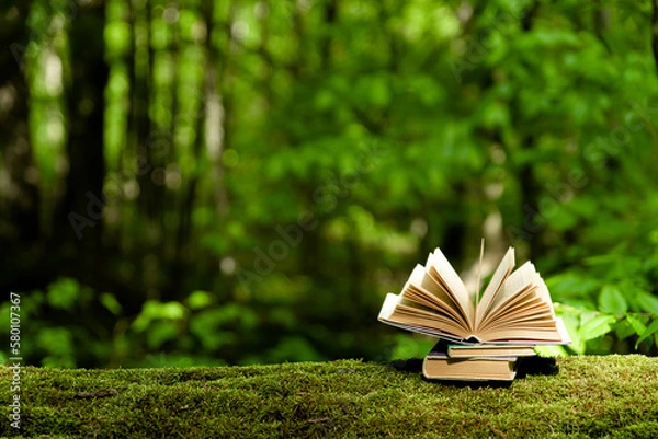 Fototapeta Old books lying on green moss in forest with trees in background. Open book with paper pages. Concept of knowledge, wisdom, fairy tales 