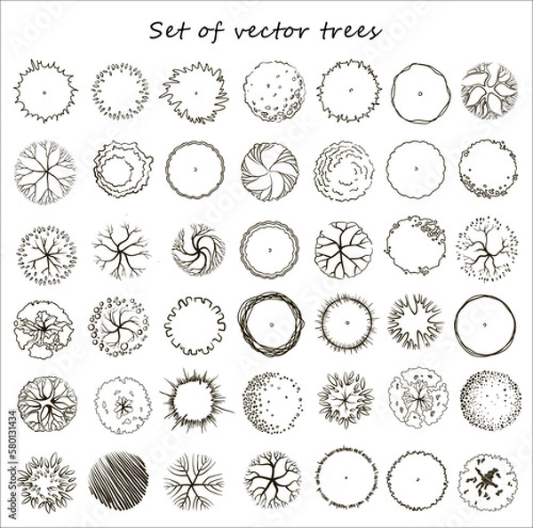 Fototapeta Simple tree collection, top view
