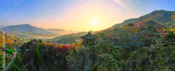 Obraz 광양매화마을