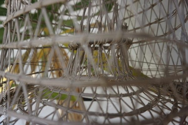 Obraz sentirse atrapado