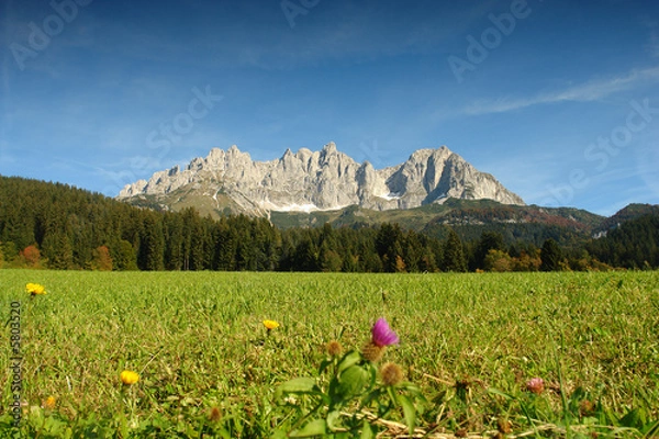 Obraz Wilder Kaiser Tirol