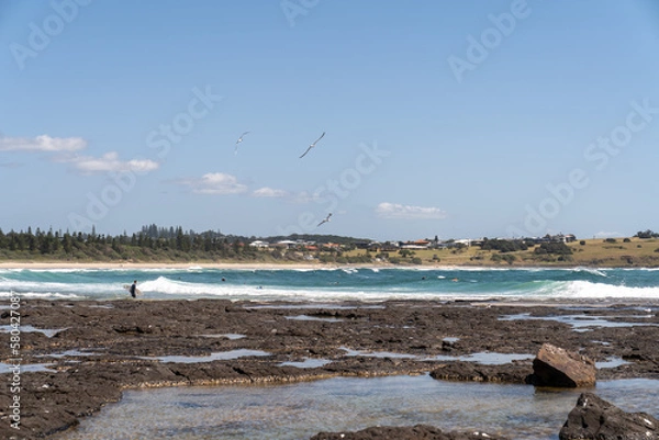 Fototapeta seagulls on the beach
