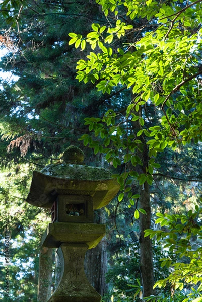 Fototapeta 日本　神奈川県足柄下郡箱根町の芦ノ湖湖畔にある箱根神社の境内