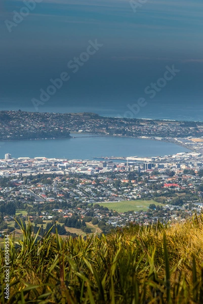 Obraz Dunedin from Flagstaff loop track in portrait perspective