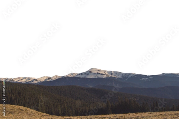 Obraz Pine forest hills with peaceful mountains isolated PNG photo with transparent background