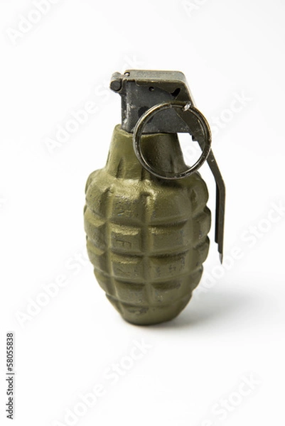 Obraz Hand Grenade