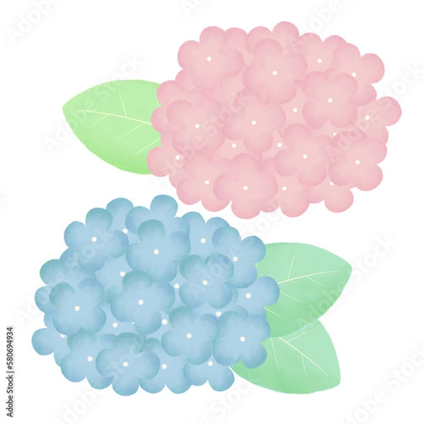 Fototapeta 手描き風　紫陽花イラスト