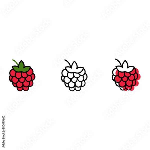 Fototapeta Raspberry. Vector icon design. Linear illustration. Berries, healthy food