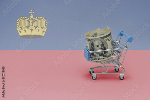 Fototapeta Metal shopping basket with dollar money banknote on the national flag of liechtenstein background. consumer basket concept. 3d illustration